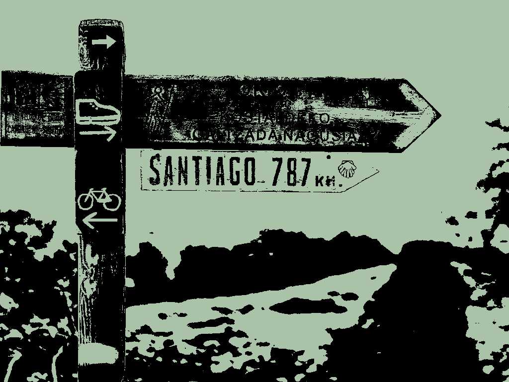 An Camino de Santiago
